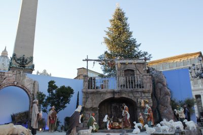サンピエトロ教会広場にある大きなモミの木
