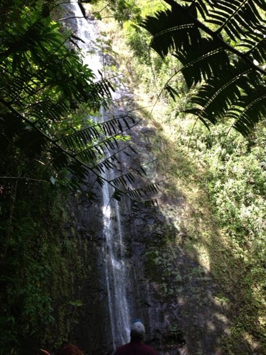 ハワイマノア滝３