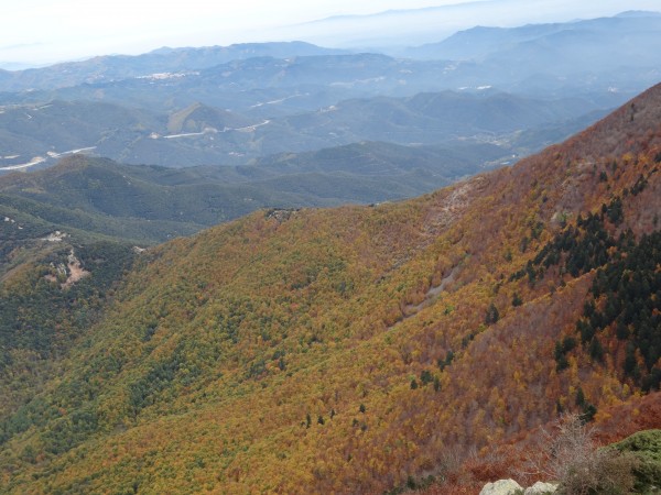 山歩きならMontseny?