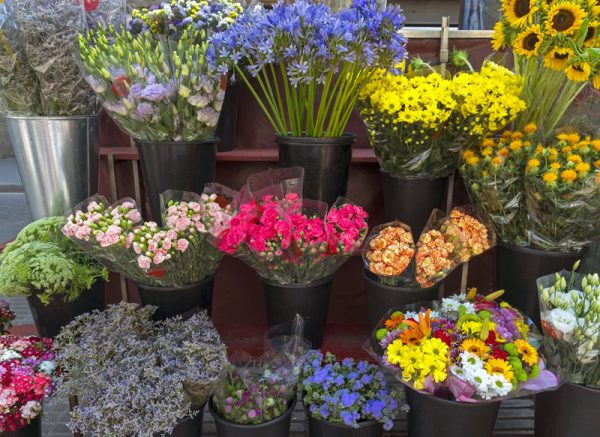 スペインの花屋さん