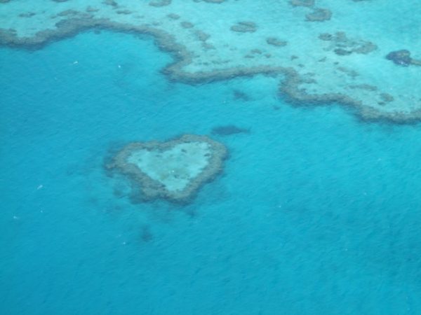 オーストラリア新婚旅行