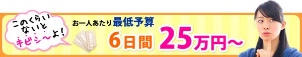 オーストラリア6日間の予算