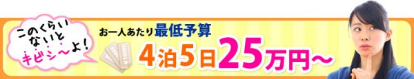 エルニド5日間25万円から