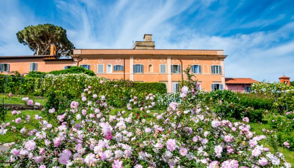 薔薇の身ごろは4月～6月