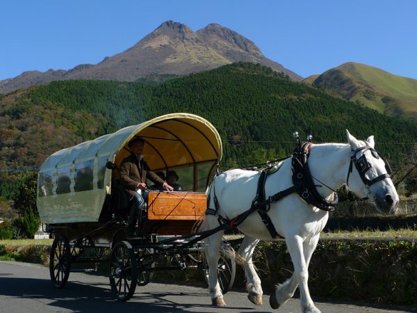 湯布院名物の観光辻馬車