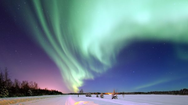 アラスカ新婚旅行プラン