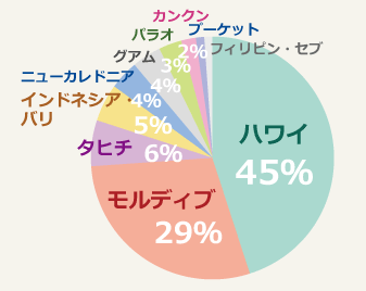 ビーチリゾートは大人気！