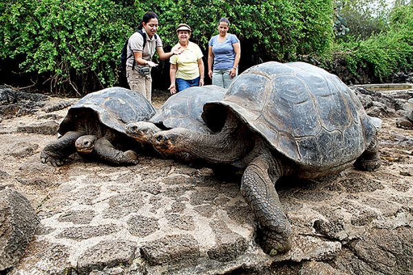 一生に一度は訪れたい！古代インカ帝国の遺跡が残るペルー新婚旅行