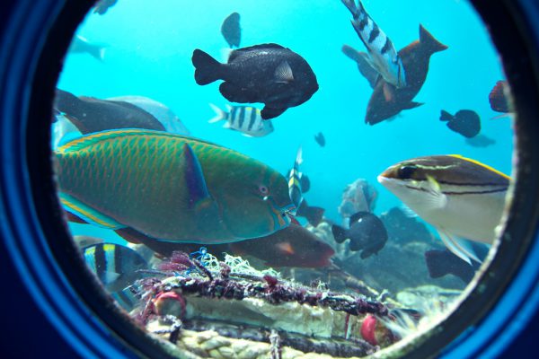 ブセナにある海中公園