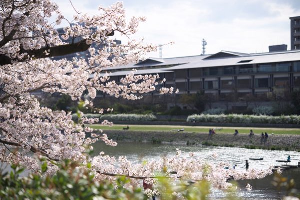 春のリッツカールトン京都