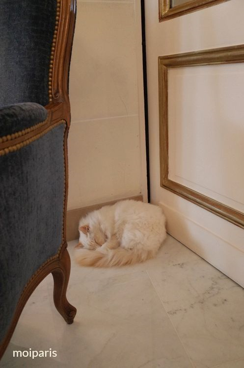 ブリストル　パリのマスコット猫「ファ・ラオン」