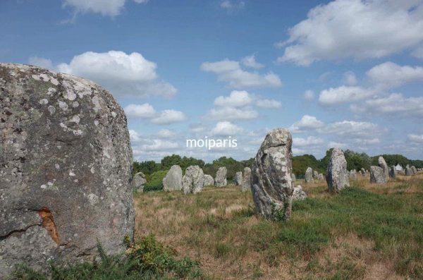 メンヒルと呼ばれる直立した巨石が一直線に並ぶカルナック遺跡