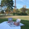 エッフェル塔が見える公園でハネムーンピクニックはいかが？
