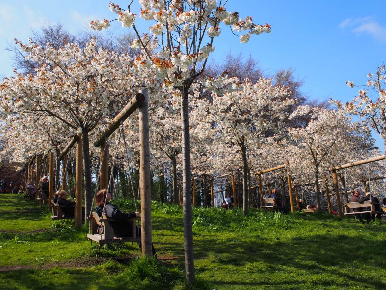 ４月は桜が咲いていて、とても綺麗