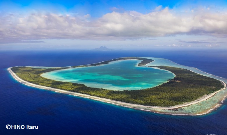 オープンハートの島・ツパイ