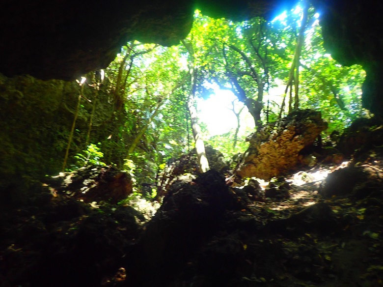 西表島の鍾乳洞を探索
