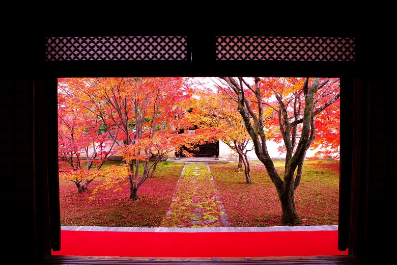 秋の妙覚寺