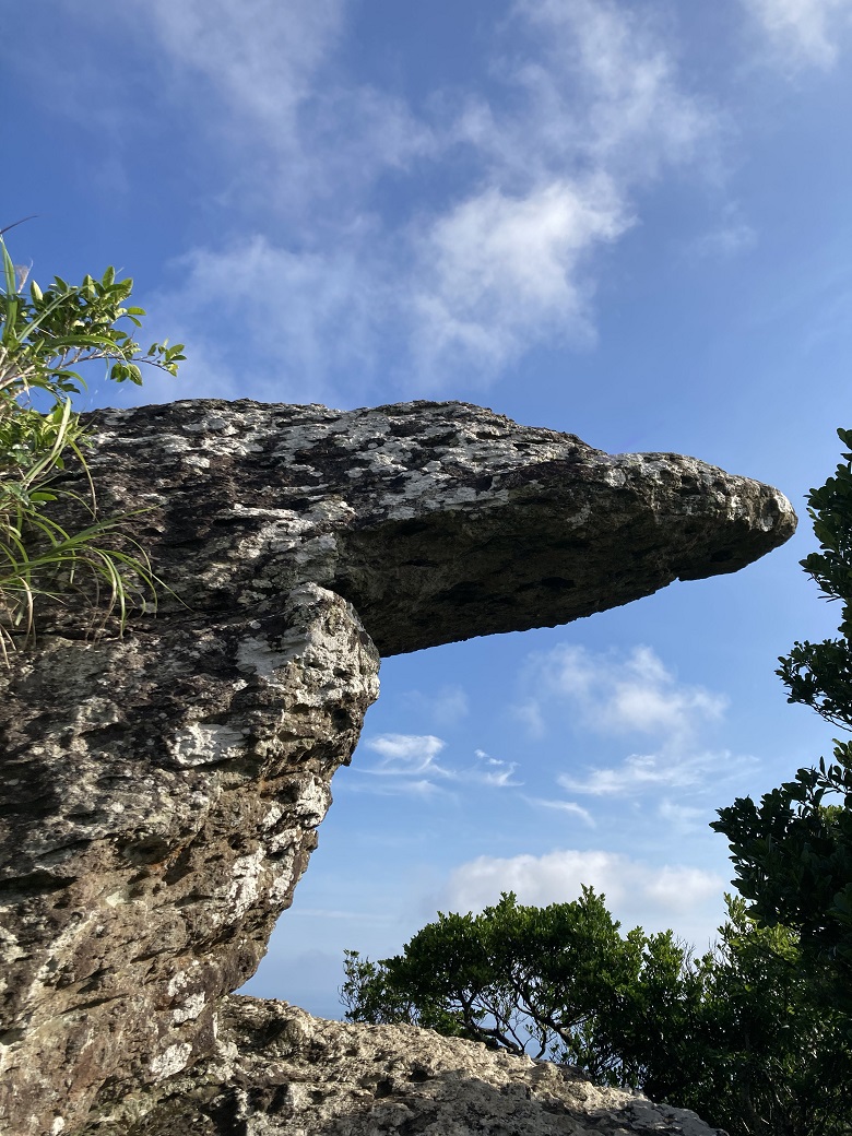 屋良部岳・トロルの舌