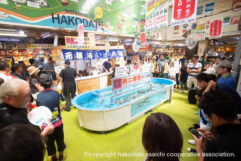 「函館朝市」名物の活イカの釣り堀