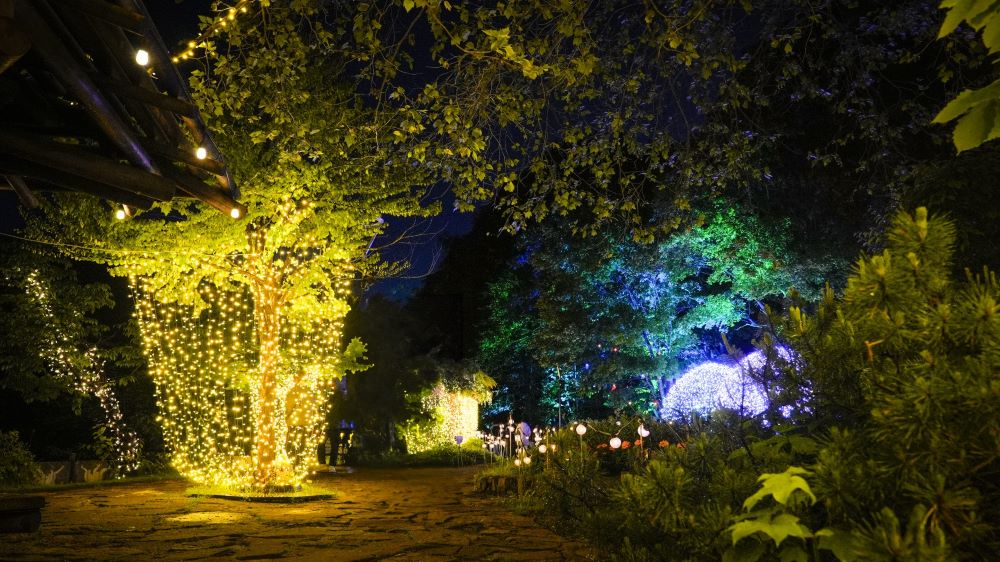 JOZANKEI NATURE LUMINARIE