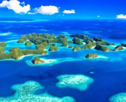 パラオ　セブンティーアイランド