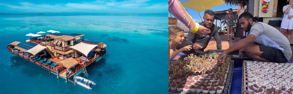 セブンス・ヘブン・フィジー