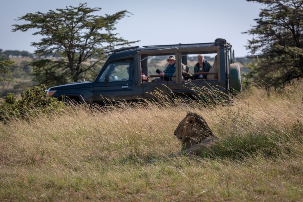 サファリドライブ