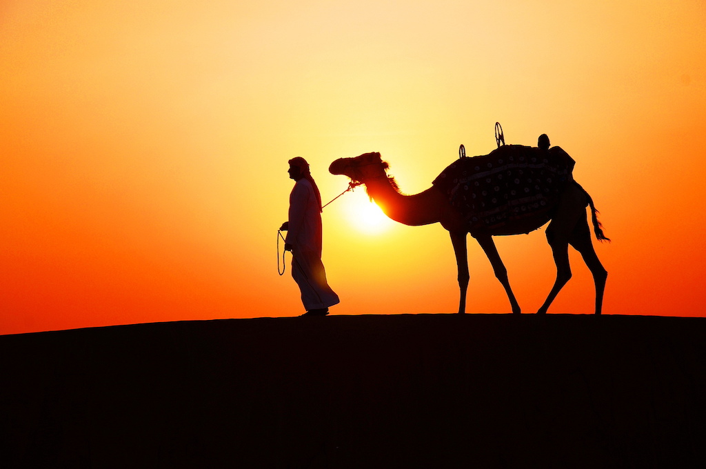 夕暮れ時の砂漠を歩くラクダ