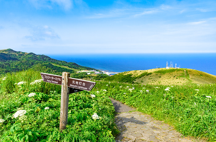 礼文島