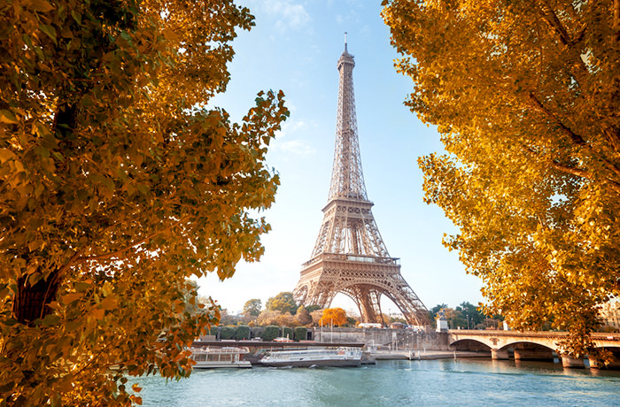 11月はフランスへ