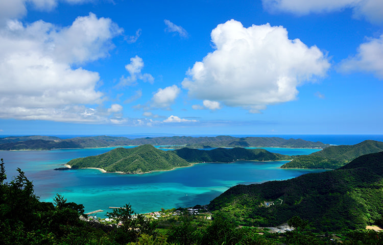 奄美大島（鹿児島）