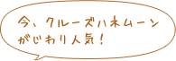 今、クルーズハネムーンがじわり人気！